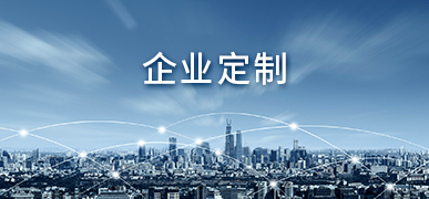 企业定制